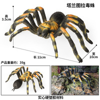Jouets cognitifs pour enfants yxs, modèles d'insectes et d'animaux simulés, grande araignée tarantule, ornement d'Halloween pour farces et tours, à l'effigie d'un insecte venimeux
