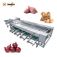 Professionele automatische sorteermachine voor citrussen (citroen, sinaasappel) met rolgrader voor industriële verwerking