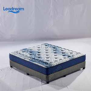 ที่นอนเมมโมรี่โฟม Leadream Spring คุณภาพสูง นุ่มสบาย โฟมถั่วเหลืองยืดหยุ่นสูง ขนาดควีนไซส์ คิงไซส์ ที่นอนแบบอัดแน่นเพื่อการนอนหลับ - Product Image 4