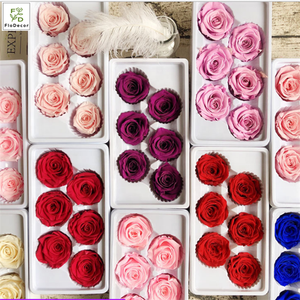 Commercio all'ingrosso 6 centimetri di Grado B Naturale Reale Freschi Conservati Secchi Rosa Testa Fiori Per Il FAI DA TE Decorazione di Cerimonia Nuziale - Product Image 4