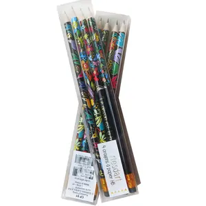 Promosyon kırtasiye sevimli tasarım kalem seti tam baskılı HB 2B ahşap Lapiz çocuklar için PVC kutu yuvarlak standart kalem