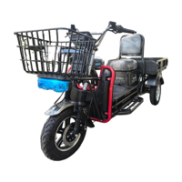 Triciclo Paige de Gran Potencia, Otros Triciclos Motorizados, Scooter de 3 Ruedas, Motocicleta de Baja Velocidad, Triciclo Eléctrico 60V 1500w