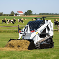 Mini-chargeuse compacte professionnelle à moteur diesel EPA, avec accessoires, 4x4, pour l'élimination des déchets agricoles et l'élevage