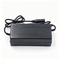 High Performance 48V 5A Li-ion Battery Charger for YOZMA in 10 Electric Motorcycle Power Adapter Durable Fast Charging Device