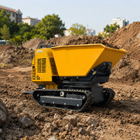Kostenloser Versand 1000kg Mini-Raupendumper Benzinmotor Selbstladend Hoher Lastmoment 1 Jahr Garantie