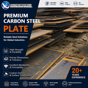 Shot Blasted 30mm 2500mm 12000mm S235JR EN 10025 Hot Rolled ST37 Carbon Steel Sheet for Bridge Fabrication - Product Image 1