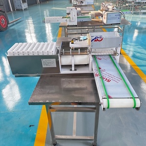 <span class=keywords><strong>Macchina</strong></span> Kebab Elettrica Professionale Griglia Verticale <span class=keywords><strong>per</strong></span> Spiedini di Carne e Pollo - Product Image 4