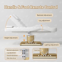 Lit de spa électrique moderne Turri avec 3 moteurs, commande par pédale, design pliable en acier inoxydable pour les soins de beauté du visage, la massothérapie