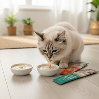 Friandises crémeuses et saines pour chatons : Bâtonnets de poulet riches en protéines, OEM/ODM, pour chats, friandises humides nutritives