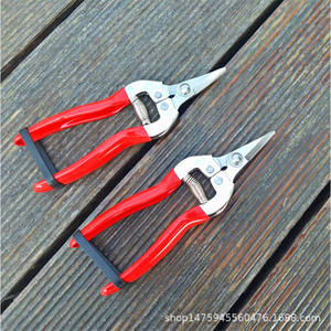 Cisailles à fruits en acier inoxydable Taiwan Mountain Wisteria, structure papillon, 20-30 mm, pour l'élagage des arbres fruitiers - Product Image 5