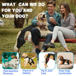 ผ้าพันขาสำหรับสุนัขสูงวัย ป้องกันข้อเข่าฉีกขาด ข้อเข่าเคลื่อน หรือข้อเข่าเสื่อม  สำหรับสุนัขขาหลัง - Product Image 6
