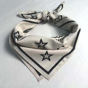 Écharpes pour hommes grand bandana personnalisé pour femmes 100% coton vente en gros de cheveux de <span class=keywords><strong>cowboy</strong></span> coloré Paisley - Product Image 5
