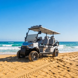 รถกอล์ฟไฟฟ้า Golf Links Turf Patrol Skywork ความเร็วต่ำ แบบ <span class=keywords><strong>2</strong></span> ที่นั่ง พร้อมมอเตอร์ไฟฟ้ากระแสสลับ 48V - Product Image 1