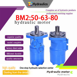 Motore idraulico BM 2 ad alta produttività con 20 anni di esperienza - Product Image 6