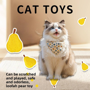 Jouet pour chat Zenidoo en forme de gourde éponge, outil de nettoyage dentaire, d'entraînement et anti-ennui, marque Loofah, contenant de la catnip - Product Image 3