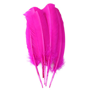Vente en gros de plumes de faisan et de paon naturelles magnifiques pour décorations de mariage/de fête - Product Image 1