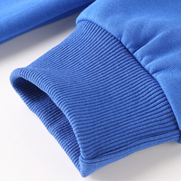 Pull à Capuche Double Couche Lourd 60% Coton 40% Polyester, Cordon de Serrage, 300 GSM, Épaules Tombantes, Unis, Vrac, Taille 3XL
