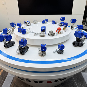 Industrial 2-Way Motorized <strong>Ball</strong> <strong>Valve</strong>, Gas <strong>Ball</strong> <strong>Valve</strong>, 304/316L Brass IP67 Low Current 12V 24V 220V AC DC OEM CE - Product Image 6