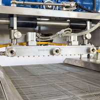 Machine automatique GUSU pour la décoration et l'enrobage de chocolat pour pain, biscuits et gâteaux