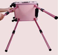 Valise de maquillage professionnelle avec miroir et lumières LED, boîte de maquillage sur roulettes, trousse de maquillage