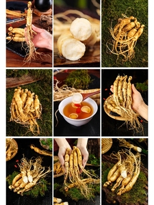 Organik doğal sağlık Ginseng dökün Homme Ginkgo Biloba Ginseng oyster Peptid Tablet kore orijinal kırmızı Ginseng - Product Image 5