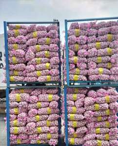 卸売バルク新鮮な白ニンニク 生ニンニク卸売価格 専門サプライヤー アホ 新鮮ニンニク 中国工場 - Product Image 4