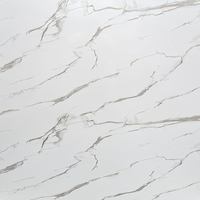Panneaux de douche 1000 mm de large x 2,4 m, revêtement mural humide en PVC pour salle de bain