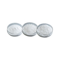 Benzoate de sodium en poudre de qualité alimentaire, régulateur d'acidité, CAS 532-32-1, 25 kg/sac, fourni par l'usine