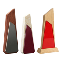 Trophée en acrylique cristallin géométrique moderne personnalisé avec logo, plaque de reconnaissance, ensemble cadeau d'entreprise pour employés, vente en gros