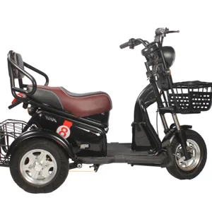 three wheeled electric vehicle 3 wheel tricycles electric bike electric bike 3 wheel electric bicycle suppliers