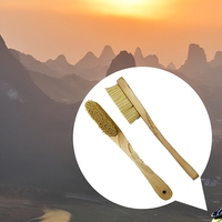 Brosse à craie d'escalade avec poils naturels de sanglier et manches en bois de hêtre et de chêne massif pour l'élimination de la poussière lors de l'escalade et du bouldering