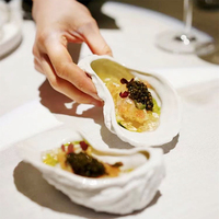 Plato de Servir Orgánico Blanco TESSWANG con Borde Esculpido para Restaurantes de Alta Cocina, Vajilla al por Mayor para Catering
