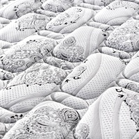 Rayson-colchón de muelles de látex para el hogar, colchón de muelles de bolsillo híbrido suave Colchon de tamaño Queen para muebles de dormitorio