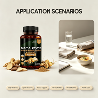Suplemen Akar Maca Alami Murni untuk Distributor Global, Margin Keuntungan Tinggi, Pasokan Grosir 180 Kemasan, Produsen Cina, Campuran
