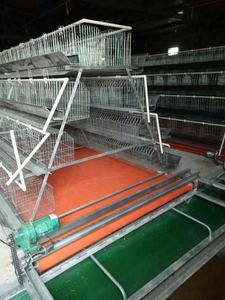 Cages à poules pondeuses en acier galvanisé, prix d'usine bon marché - Product Image 6