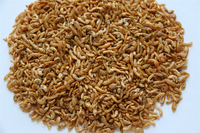 Alimentation pour poissons secs à base de krill lyophilisé, directement de l'usine, pour la peau et le pelage