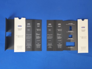 Échelle grise standard pour évaluer les changements de couleur - Product Image 5