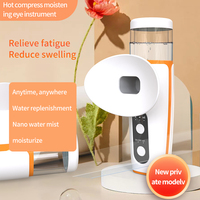 Ventes chaudes : Appareil de beauté portable 2-en-1 avec compresse chaude et pulvérisateur nano-brume pour le visage et les yeux, rechargeable par USB