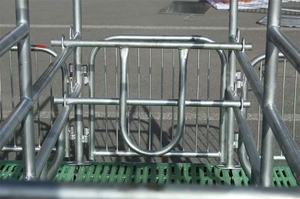 Équipements d'élevage porcin : Équipements en plastique pour truies, sol à lattes, cage de mise bas galvanisée pour porcs - Product Image 3