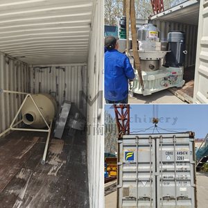 Une usine chinoise de 2 T/H <span class=keywords><strong>offre</strong></span> une machine de fabrication de granulés de bois à haute efficacité et haute capacité pour la sciure de biomasse - Product Image 6