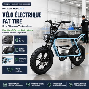 Vélo Électrique <span class=keywords><strong>Fat</strong></span> Tire Style Rétro avec Porte-Bagages Arrière et Batterie Amovible pour Grossistes et Fournisseurs OEM - Product Image 1
