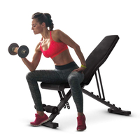 Venta caliente Sit Up Bench Banco con mancuernas Multigym Venta al por mayor Mancuerna ajustable y Banco