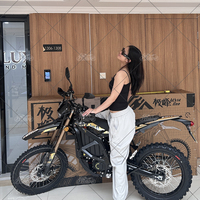 2026 Surron Ultra Bee, Ultrabee Elektro-Dirtbike, Ultra Bee Straßenzugelassenes Motorrad