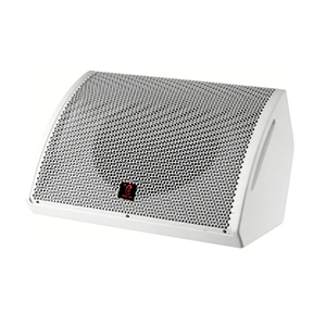 Monitor da Palco Coassiale da 10 Pollici, Altoparlante Professionale per Teatri, Stadi Sportivi, Monitoraggio Palco e Driver Coassiale per Auditorium - Product Image 1