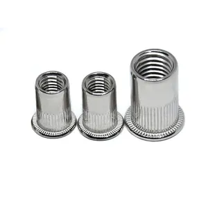 Flat Head Threaded Rivetnut Insert for aluminum furniture hardware Nut insert brass Rivet Nut