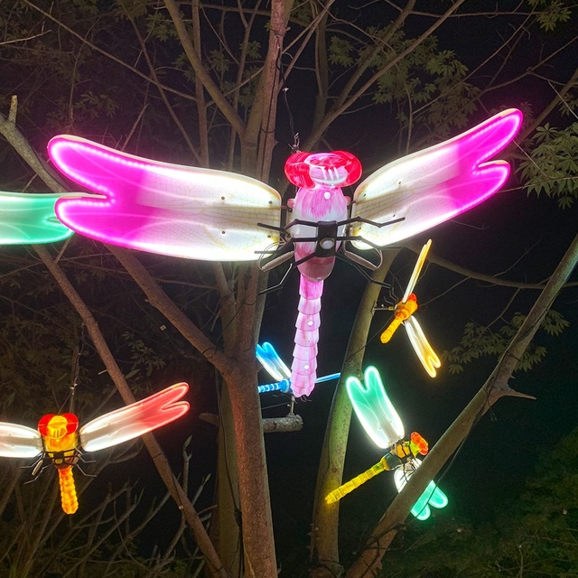 Whimsical Wings Powered Dragonfly Garden Decor IP65 DC LED Stake Christmas Lights Holiday Outdoor Vibrant Colors Motion Design