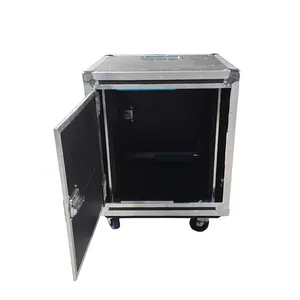 12u rack case with 2 push door/12u amp rack case/road ready flight cases