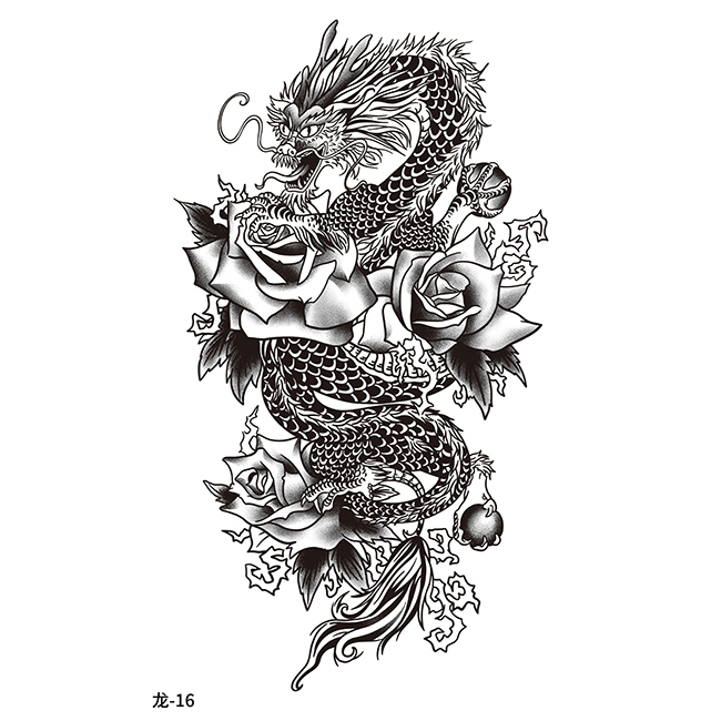 Dragon-16