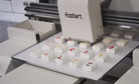 Impresora de Alimentos de Formato Grande X2 |   Máquina de Tinta Comestible de 420*600 mm para Pasteles de 14 Pulgadas, Galletas a Granel e Impresión de Hojas Completas en una Sola Pasada
