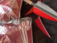 Plumes de dindon naturelles véritables pour le fletchage d'arrows de tir à l'arc, pour le bricolage, la chasse et le tir sur cible, accessoire d'arrow.